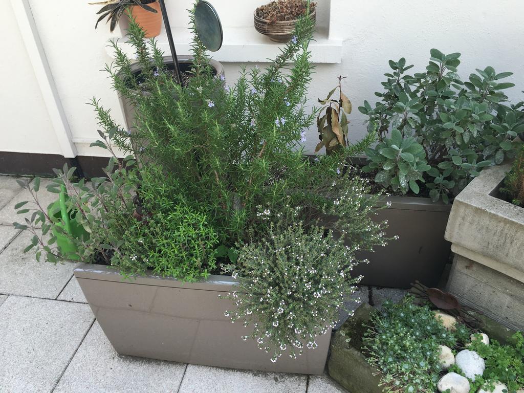 Mangolds Boutique Hotel&Fruehstuecksmeisterei Schweinfurt Exterior foto